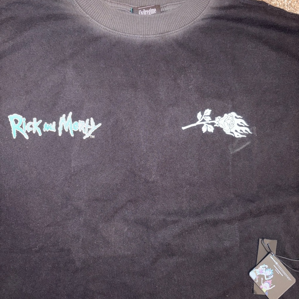 CIVIL REGIME Rick and Morty